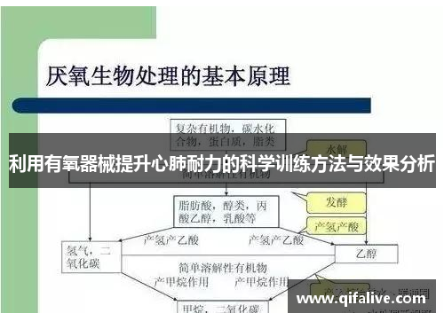 利用有氧器械提升心肺耐力的科学训练方法与效果分析