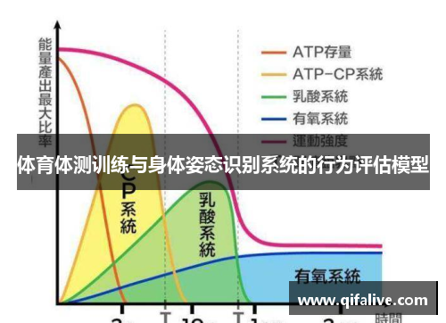 体育体测训练与身体姿态识别系统的行为评估模型